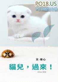 猫儿，过来！封面